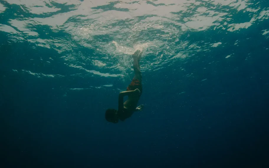 evolution_stills_000011lesfilmsduworso_potemkinefilms